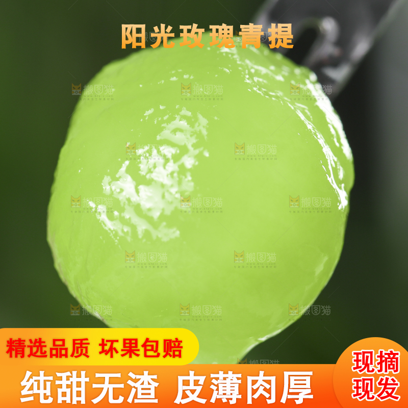 叉子插着无籽青提