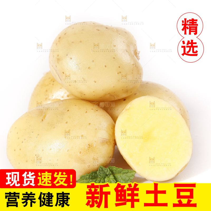 白底上的土豆