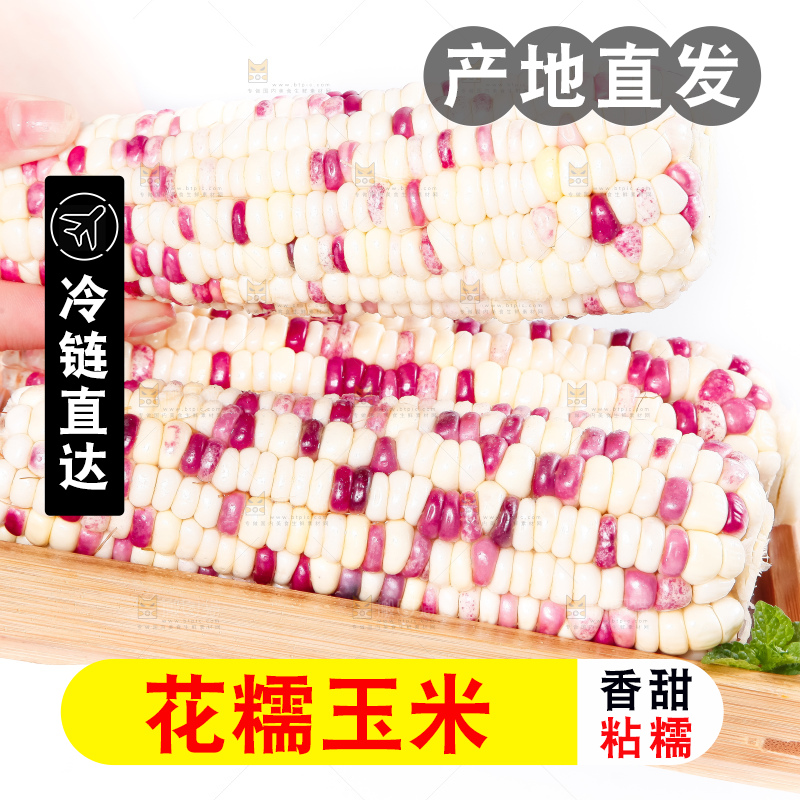 盘子里装着剥皮的广西花糯玉米