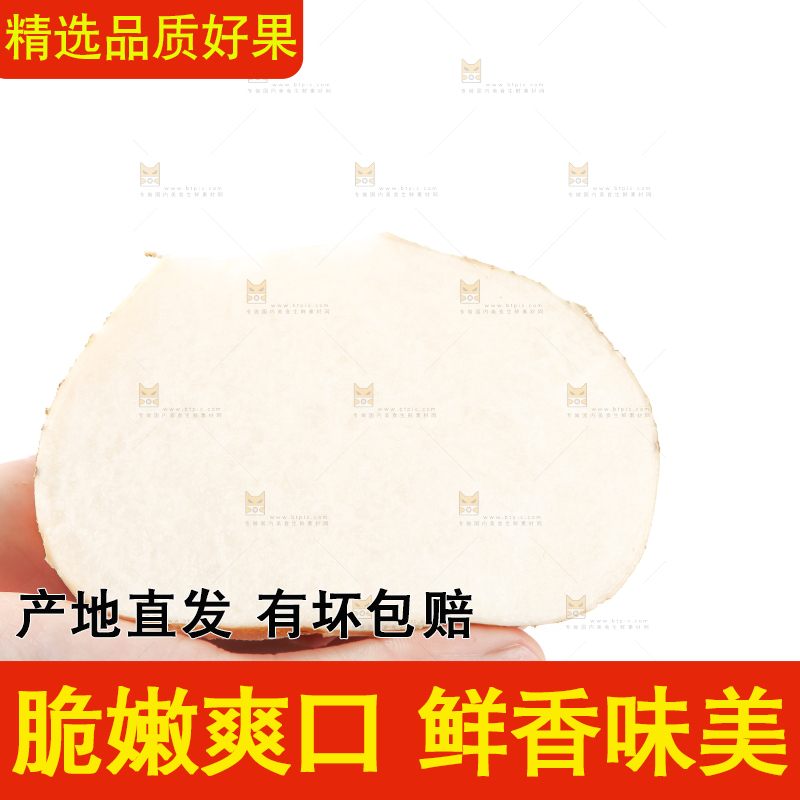 手里拿着凉薯