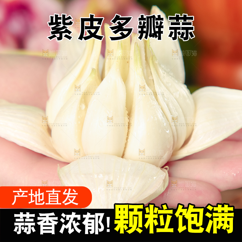 手里拿着紫皮蒜