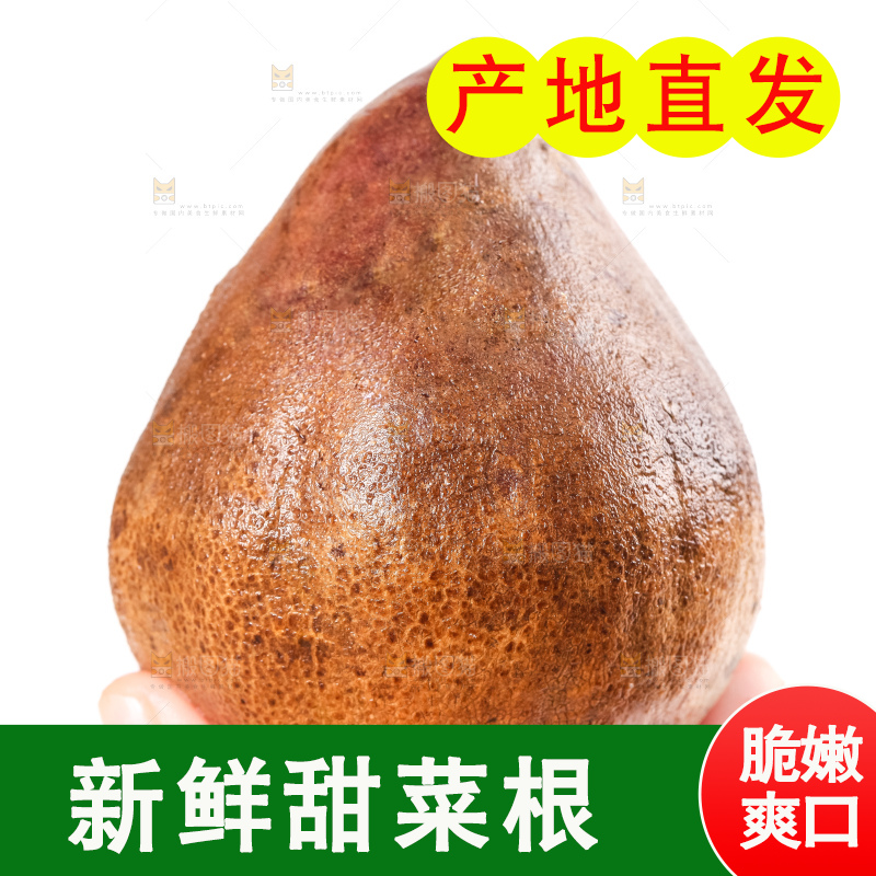 手里拿着甜菜头