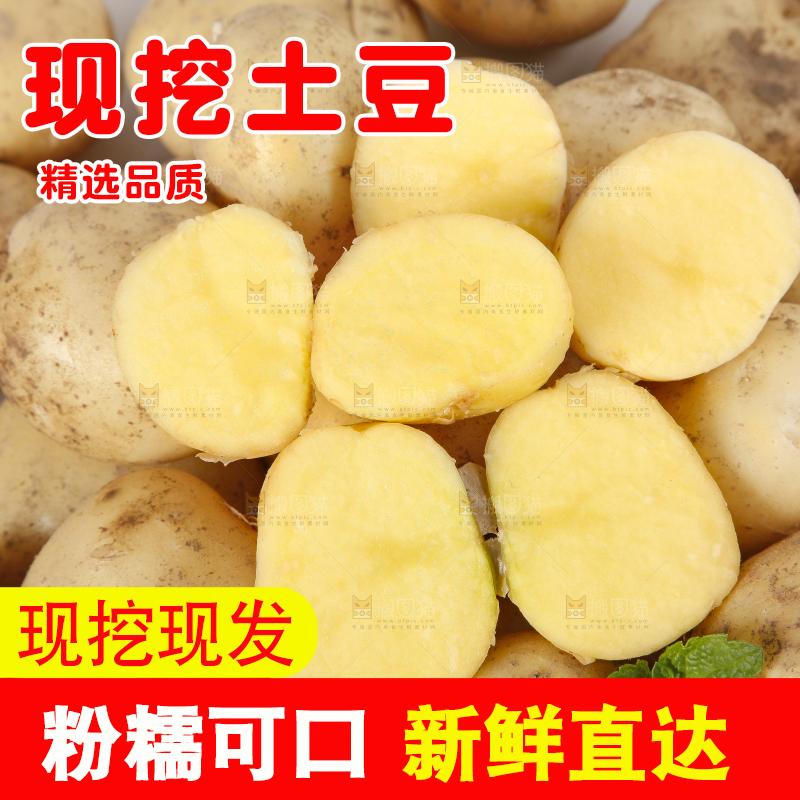 一堆小土豆