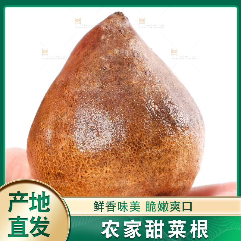 手里拿着甜菜头