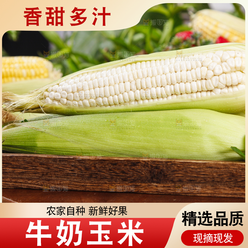 盘子里装着牛奶玉米