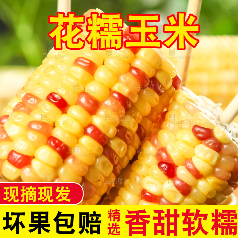 碗里装着糯玉米