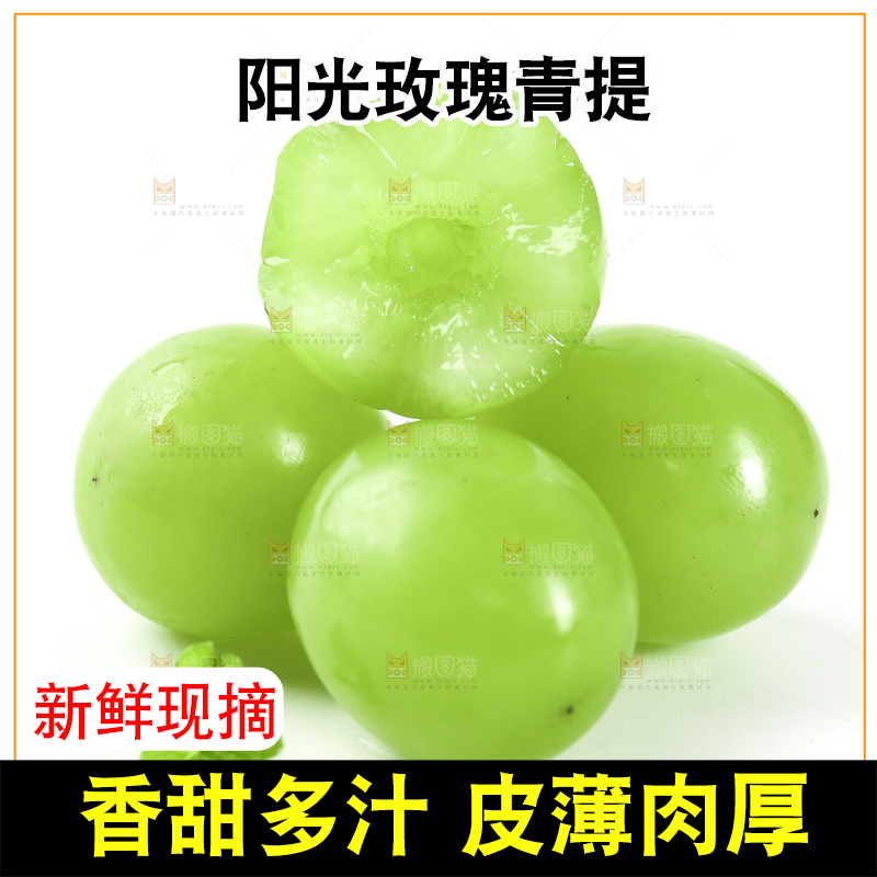 白底上放着阳光玫瑰