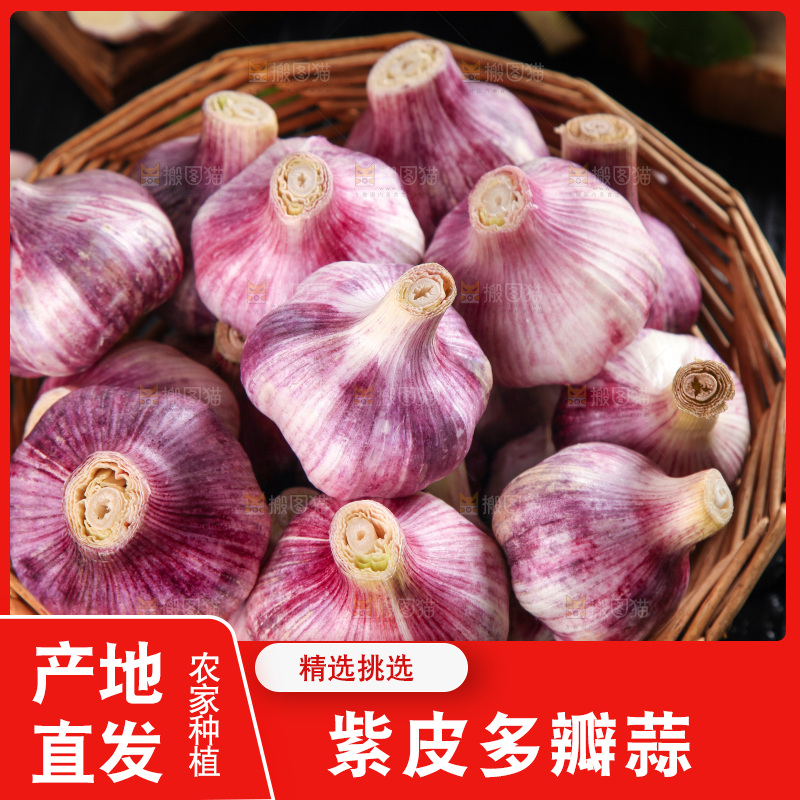 竹篮里放着紫皮大蒜