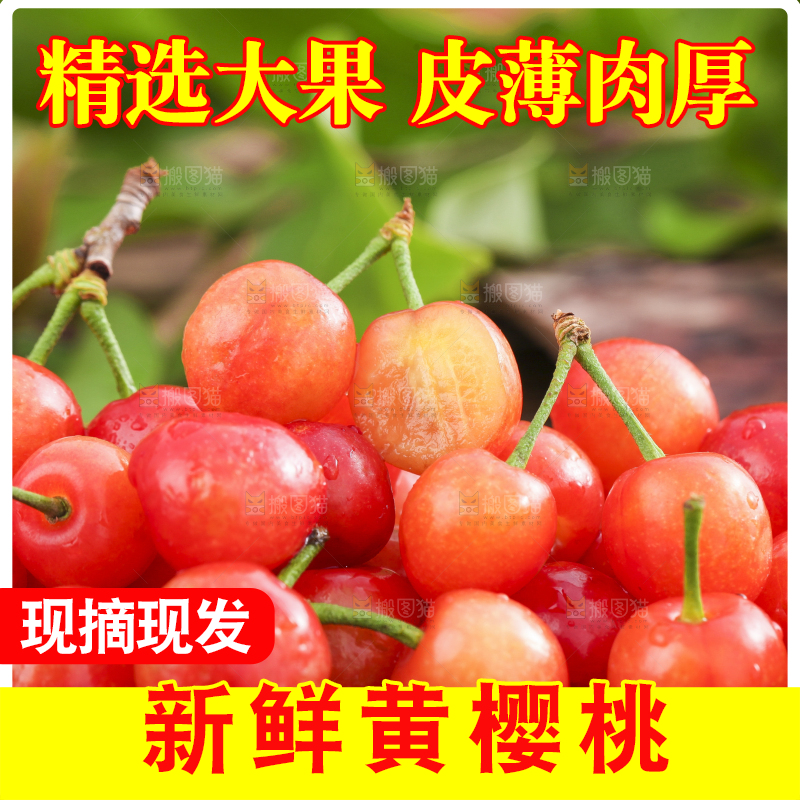 碟子里装着水晶樱桃