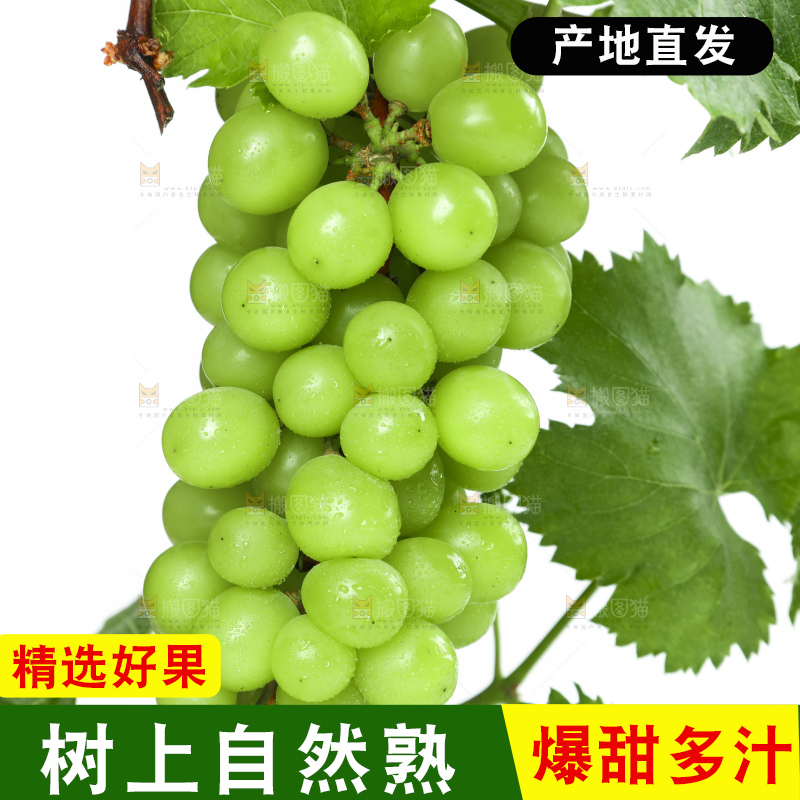 手里拿着阳光玫瑰葡萄