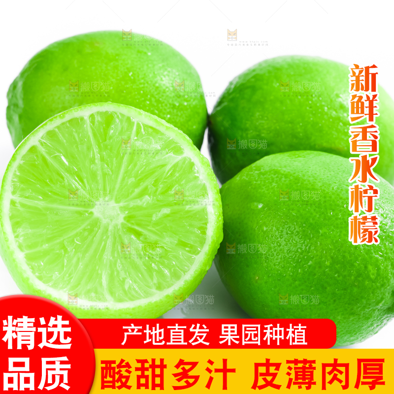 白底上放着切开的无籽青柠檬