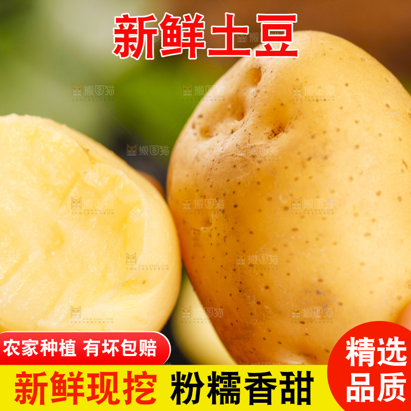 手里拿着小土豆