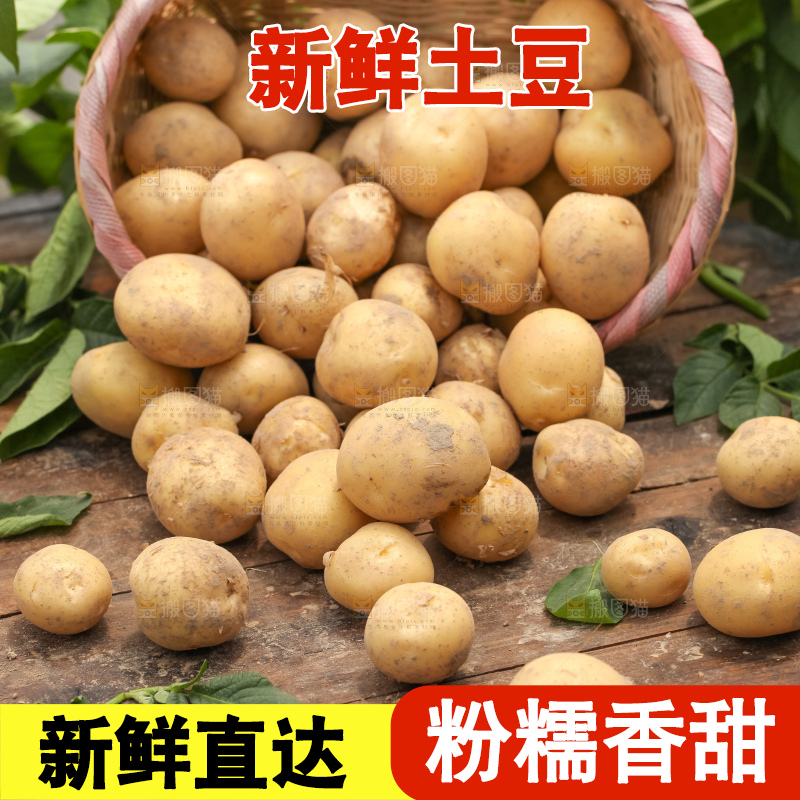 竹篮里装着小土豆