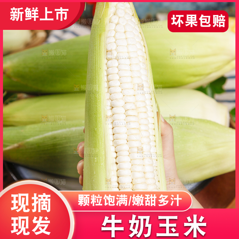 手里拿着牛奶玉米