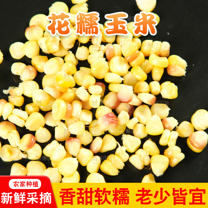 黑石板上放着糯玉米粒