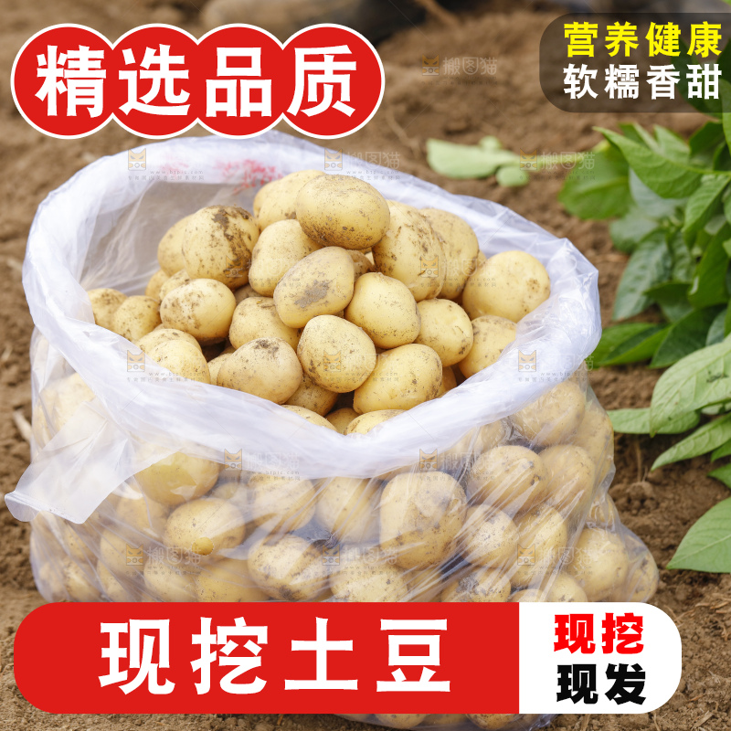 袋子里装着土豆