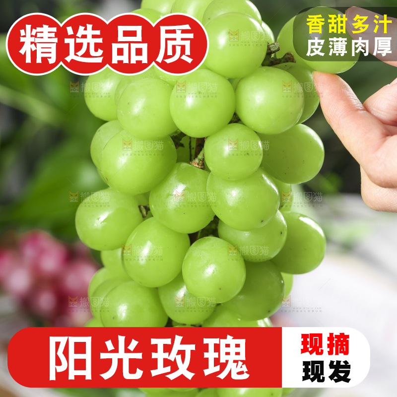 手里拿着无籽青提