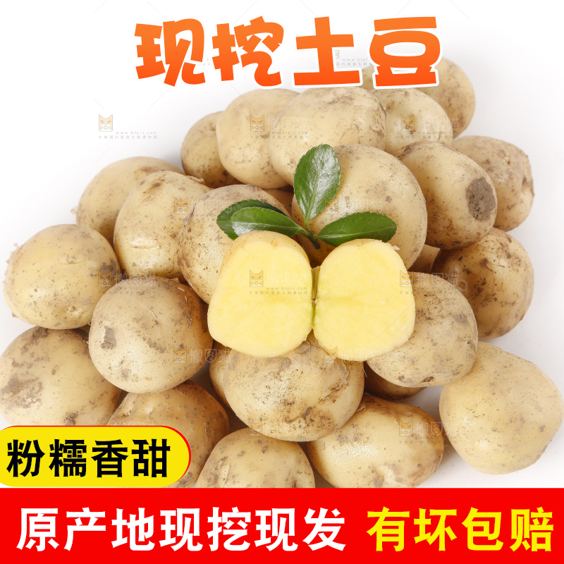 白底上放着小土豆