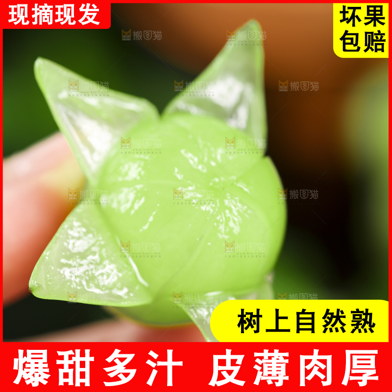剥皮的的无籽青提