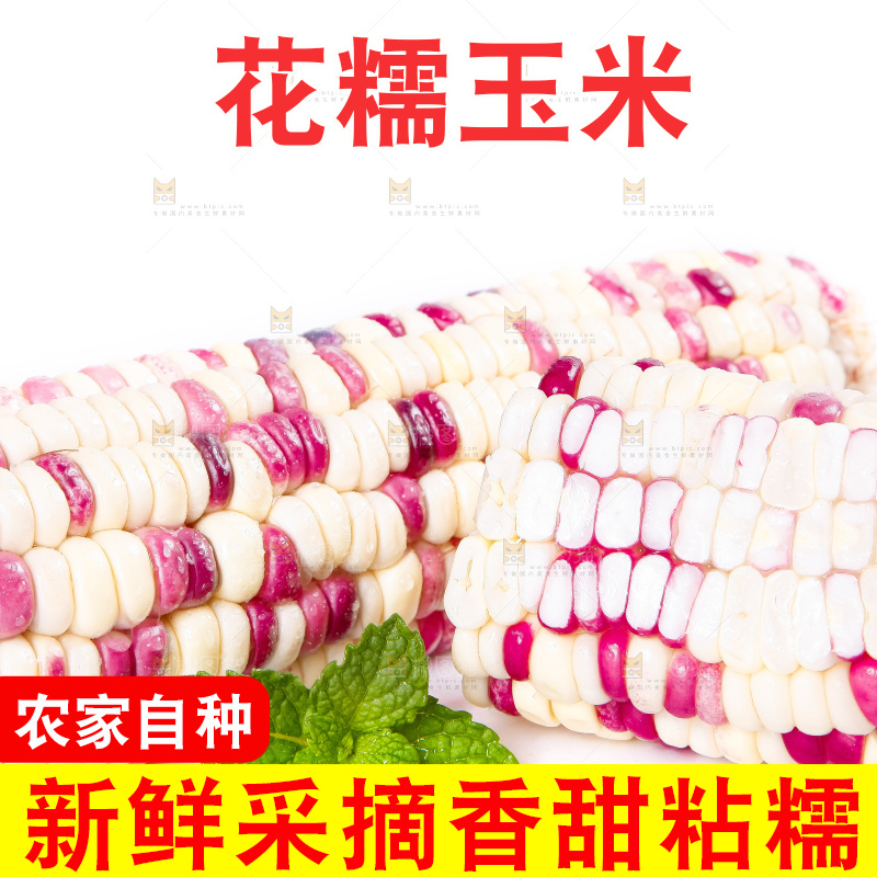 白底上放着剥皮的花玉米