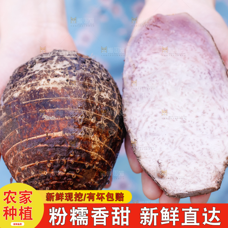 手里拿着紫藤芋头