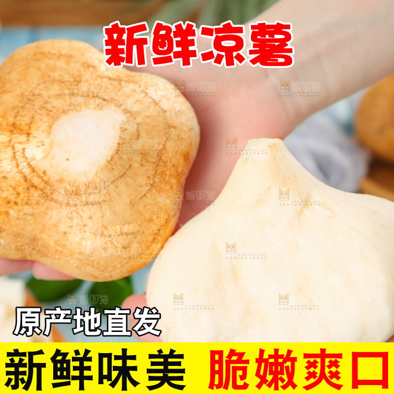手里拿着广西白凉薯