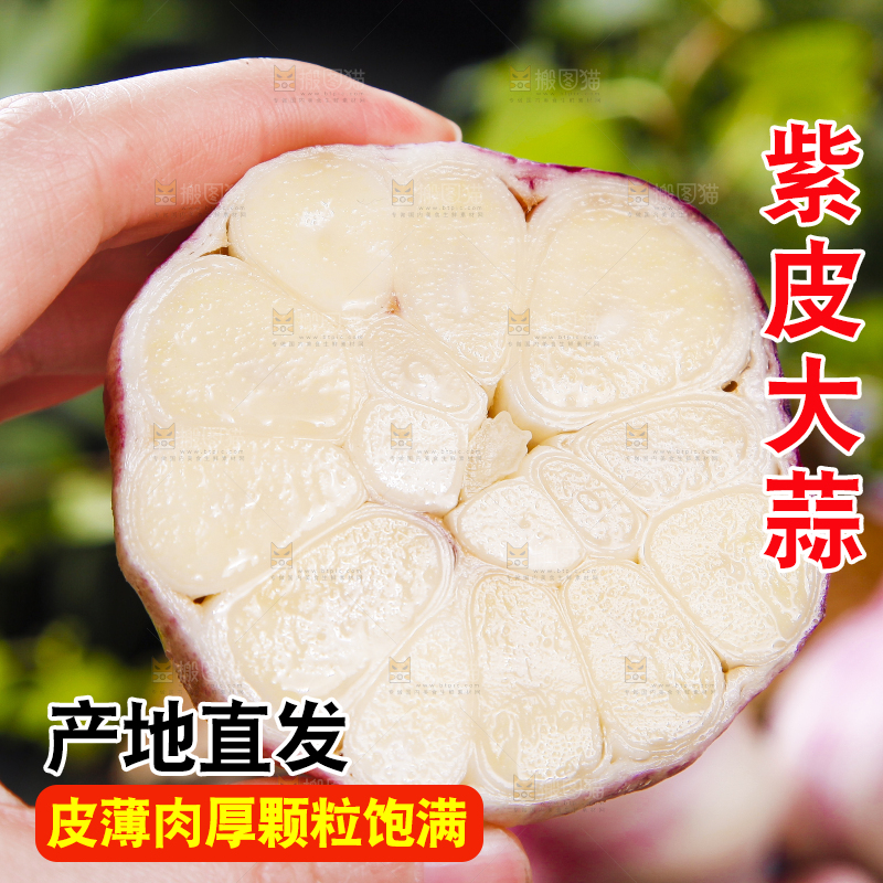 手里拿着紫皮蒜