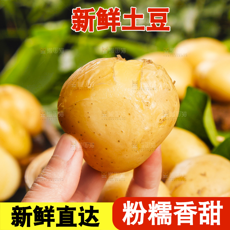 手里拿着云南小土豆