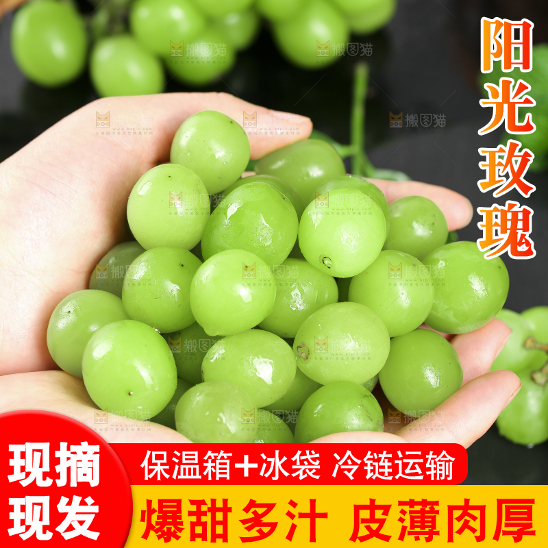 手里拿着无籽青提