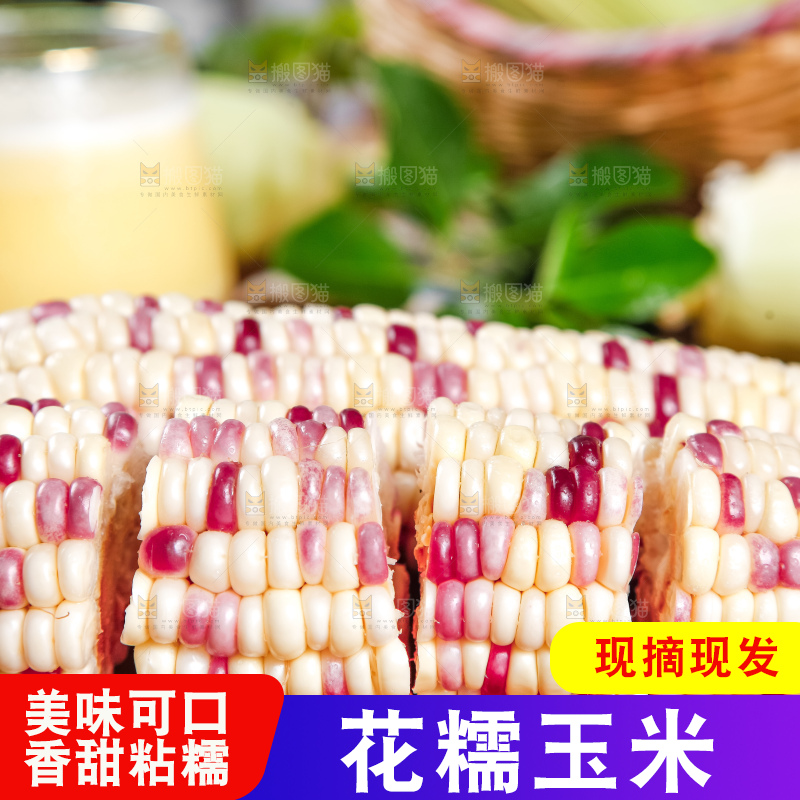 木板上放着切块的香甜糯玉米