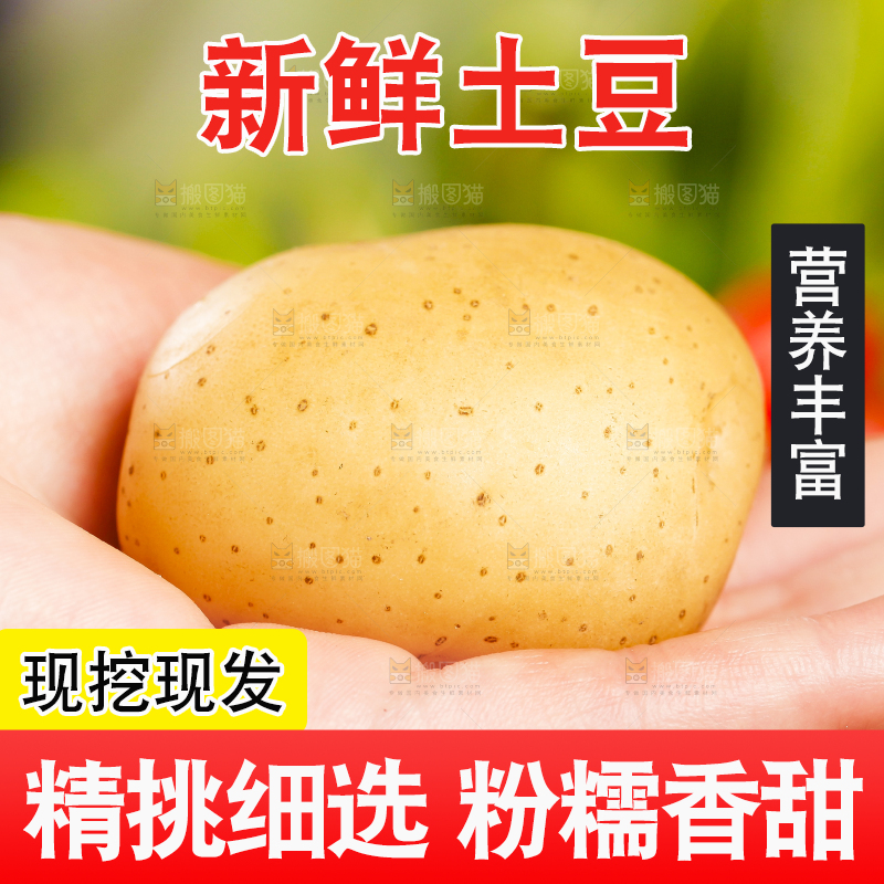手里拿着小土豆