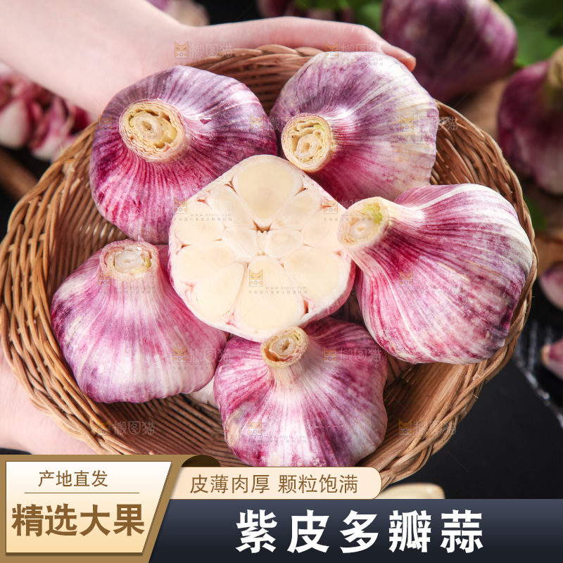竹篮里装着紫皮大蒜