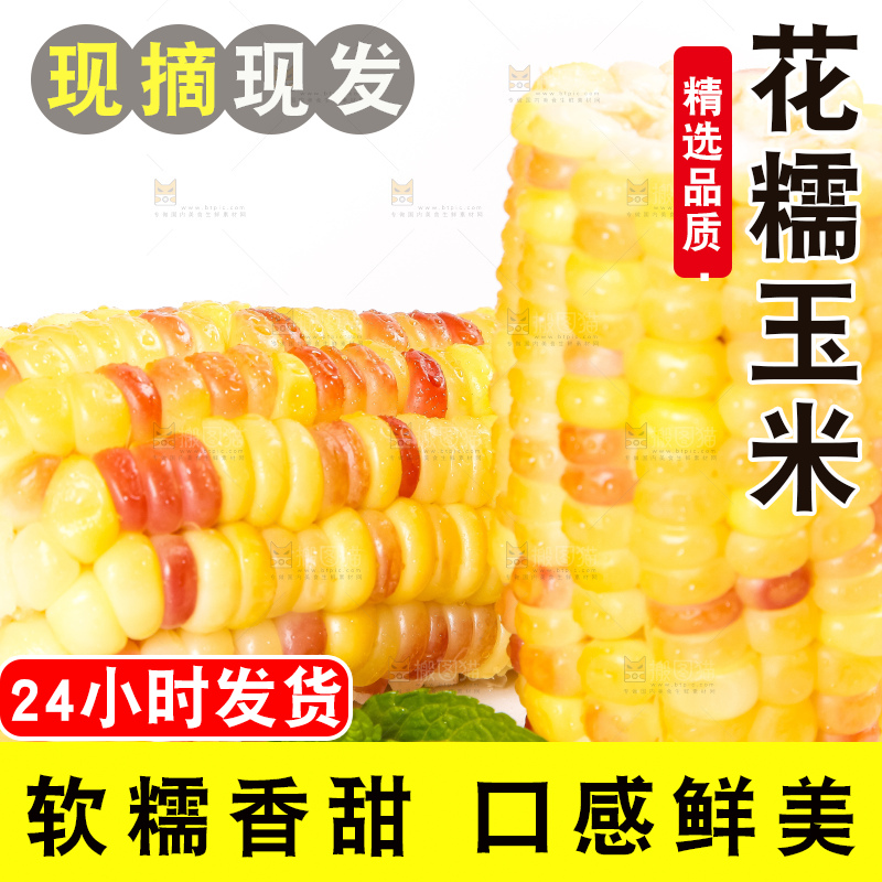 白底上放着切块的广西花糯玉米