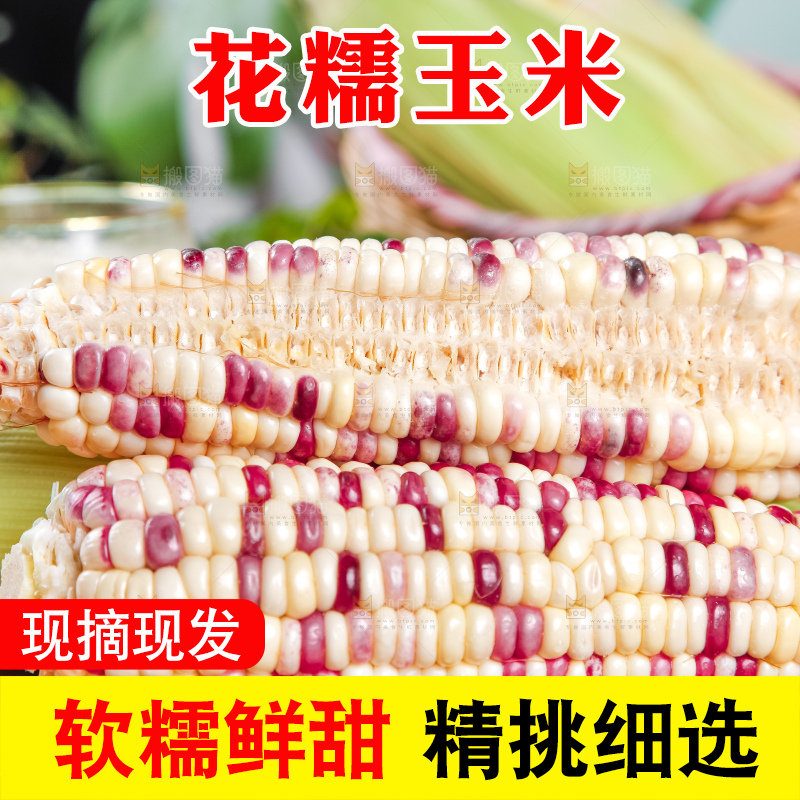 木板上放着剥皮的香甜糯玉米