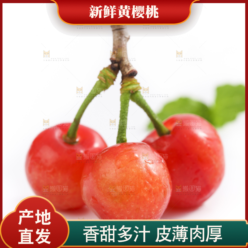 白底上放着黄樱桃