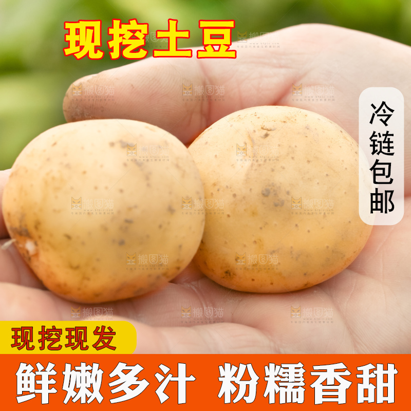 手里拿着云南小土豆