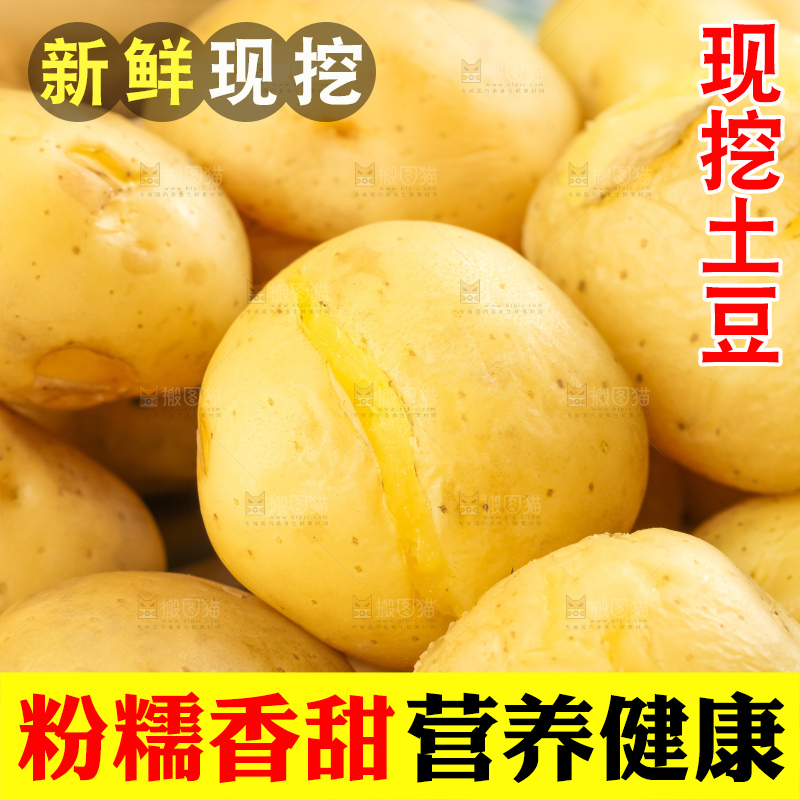 竹笼里的小土豆