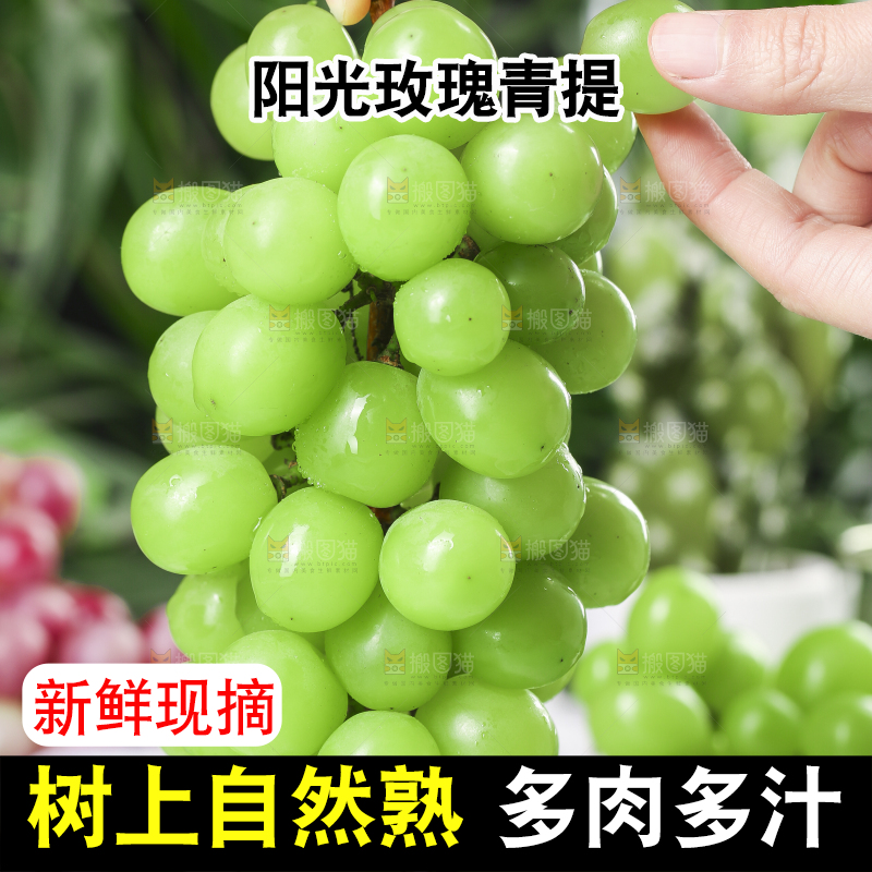 手里拿着无籽青提