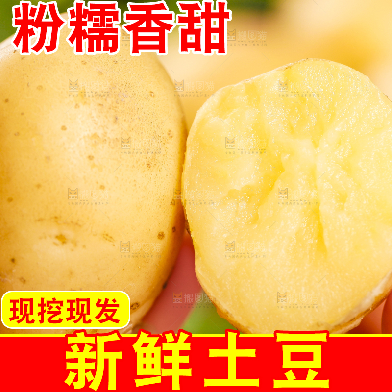 手里拿着小土豆