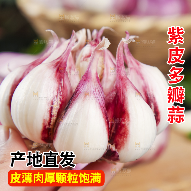 手里拿着云南紫皮蒜