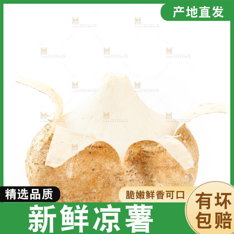 白底上的凉薯