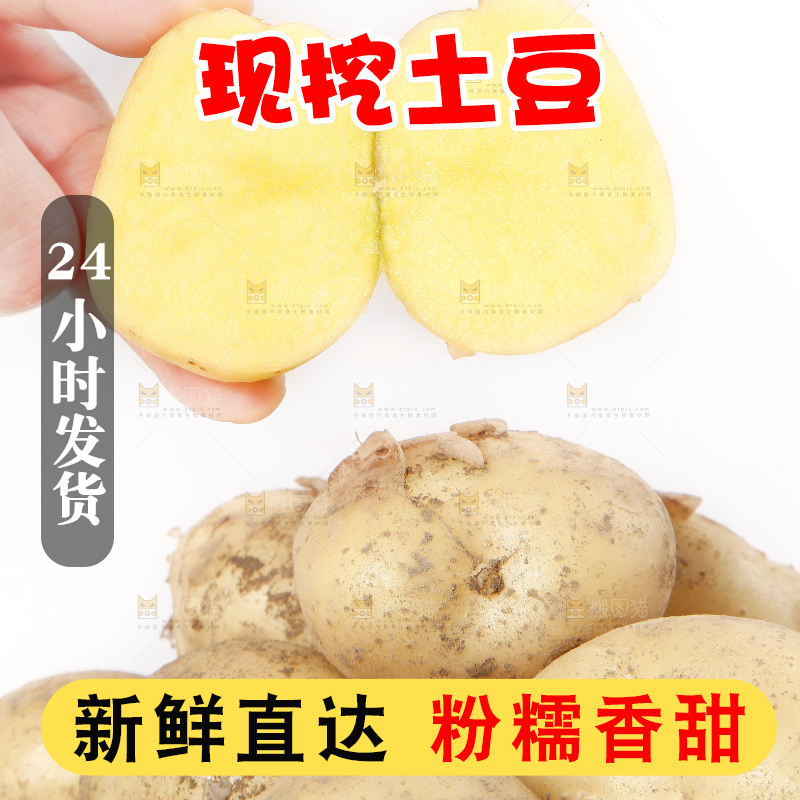 手里拿着小土豆