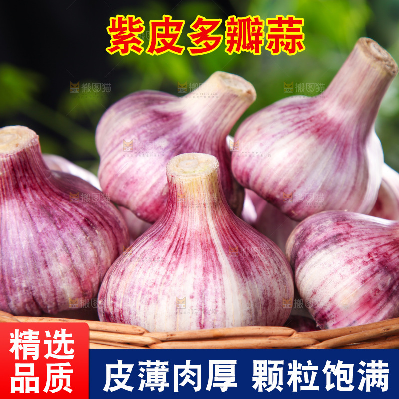 竹篮里放着紫皮大蒜