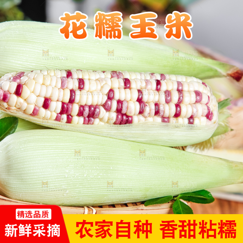竹篮里放着剥皮的香甜糯玉米