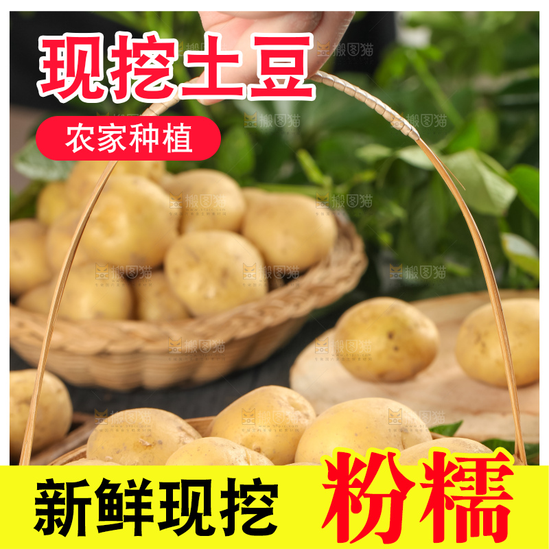 竹篮里装着小土豆