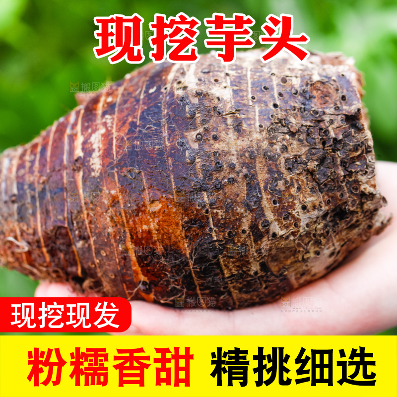 手里拿着紫藤芋头