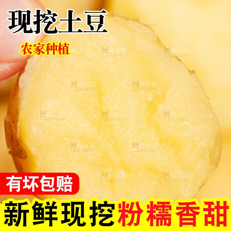 手里拿着小土豆