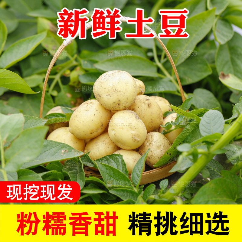 竹篮里装着土豆