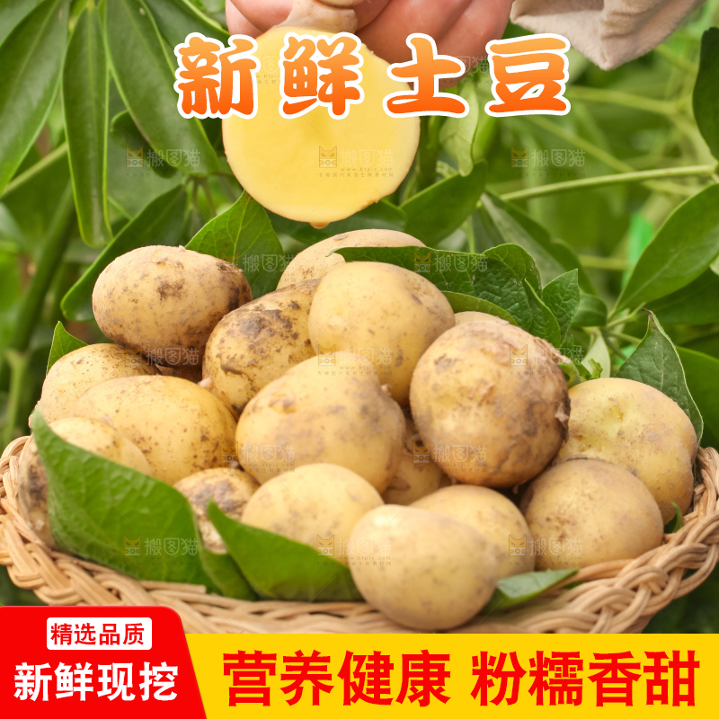 竹篮里放着云南小土豆