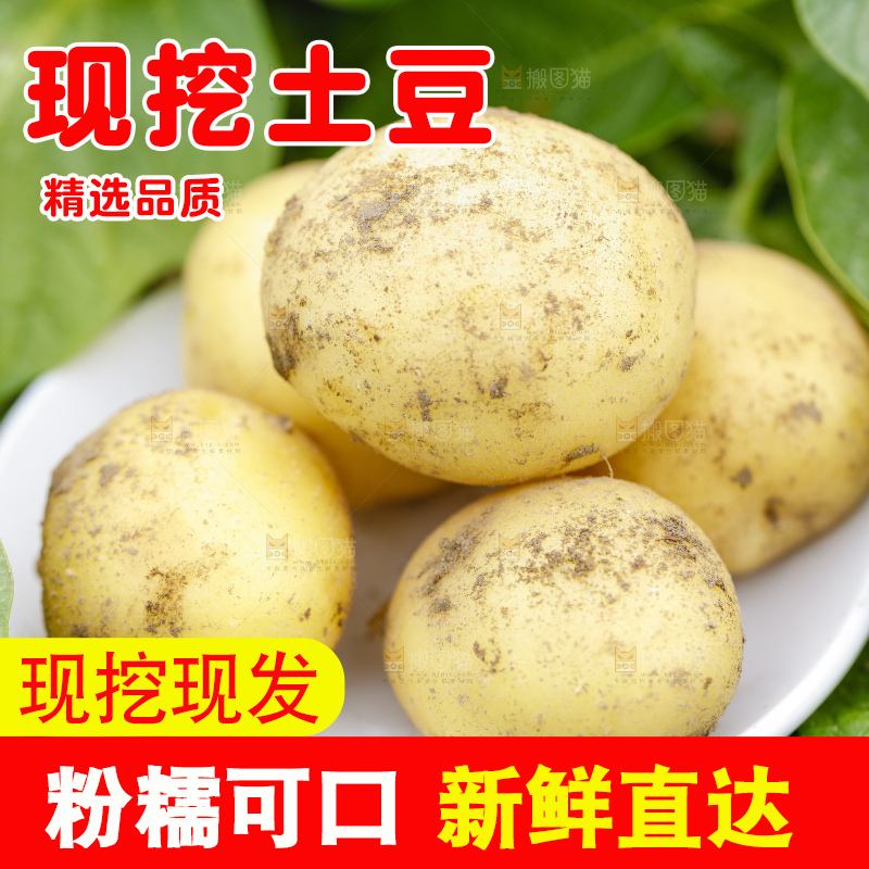 盘子里装着土豆